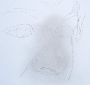 crtanje olovkom, kako nacrtati nos